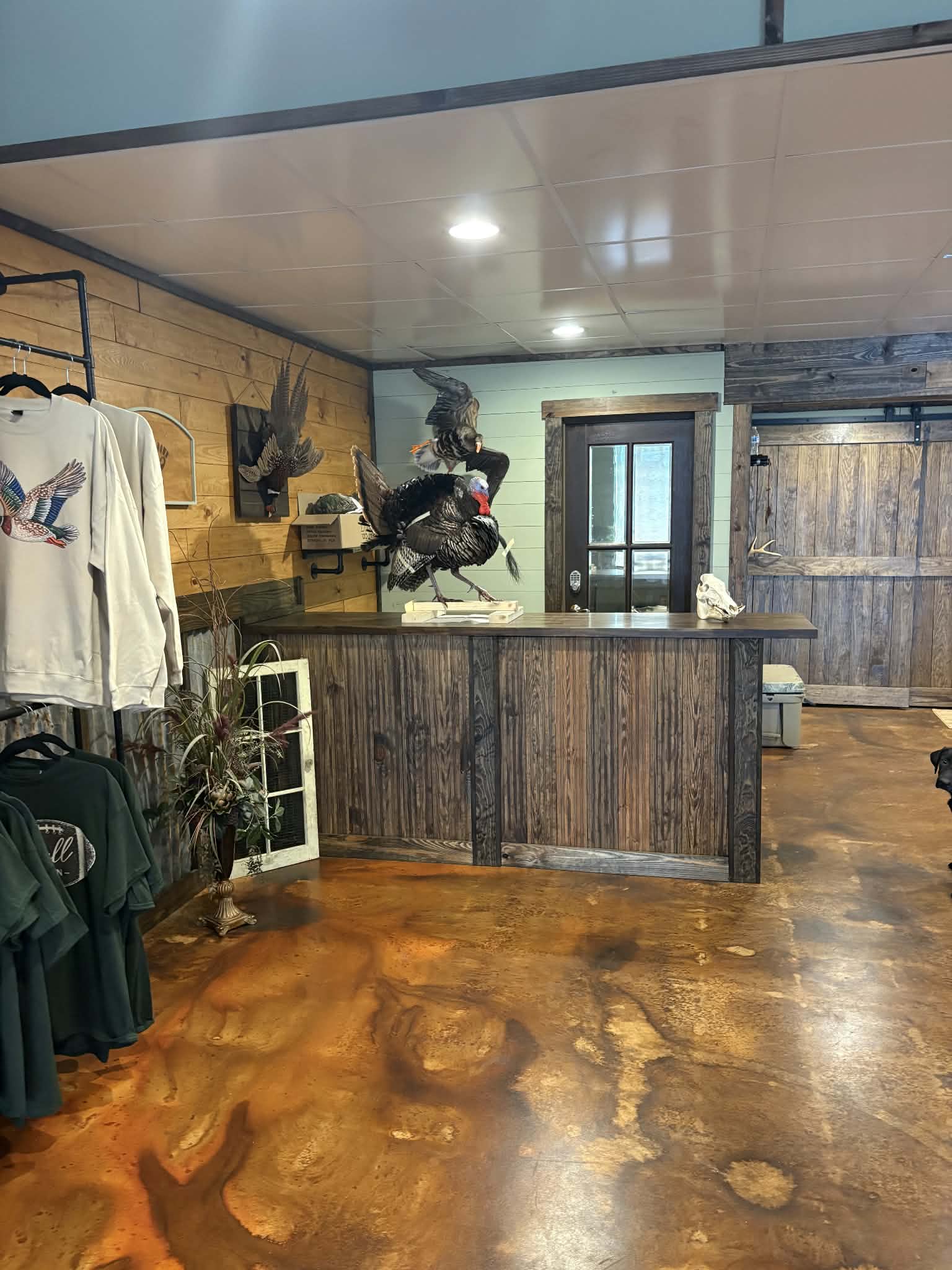 Taxidermy Near Tuscaloosa: Why Hunters Make the Trip to Gordo